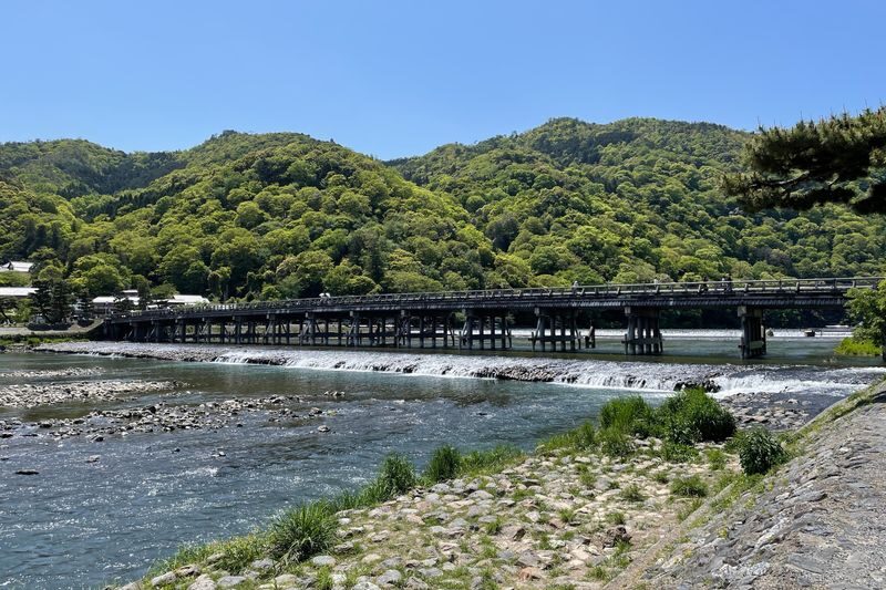 Hozugawa River Boat Ride Experience in Kyoto - Who will enjoy this ride most
