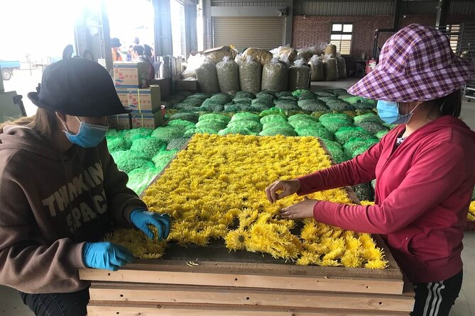 Hsinchu Sugar Culture and Dried Persimmon Experience From Taipei - Exploring Hsinchus Sugar Industry