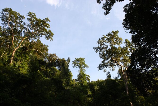 Hua Hin Amazing Pa-La-U Waterfall and Vineyard - Itinerary Overview