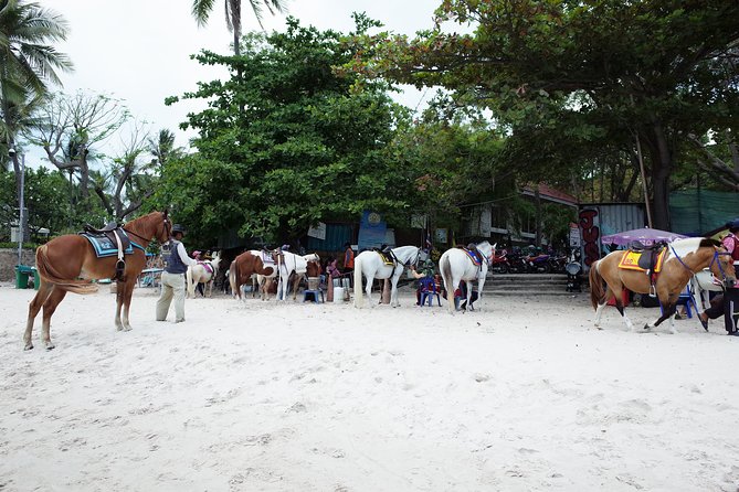 Hua Hin Customize Day Tour - Customer Review Example