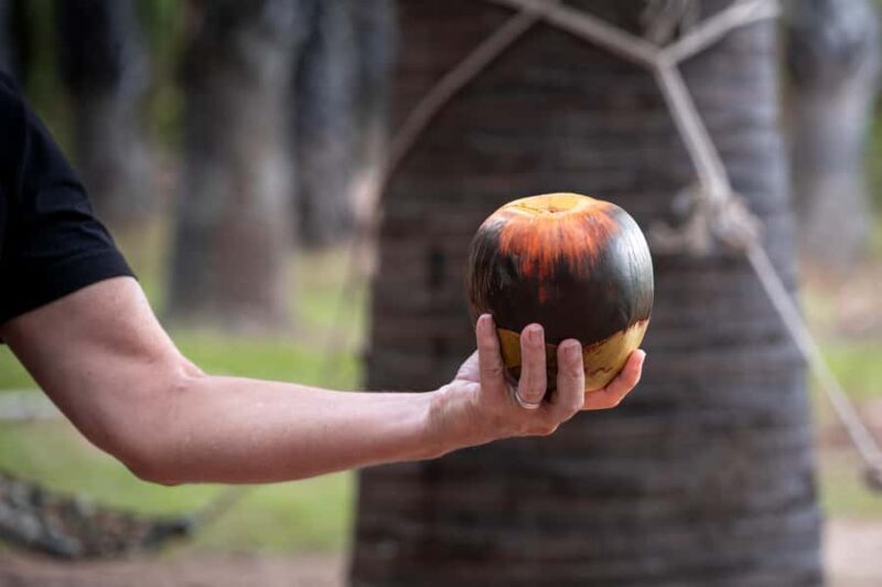 Hua Hin: Historial Sights & Gastronomy Tour of Phetchaburi - What to Bring