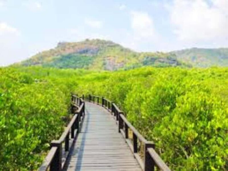 Hua Hin: HuaHin Sightseeing Tour - Good To Know