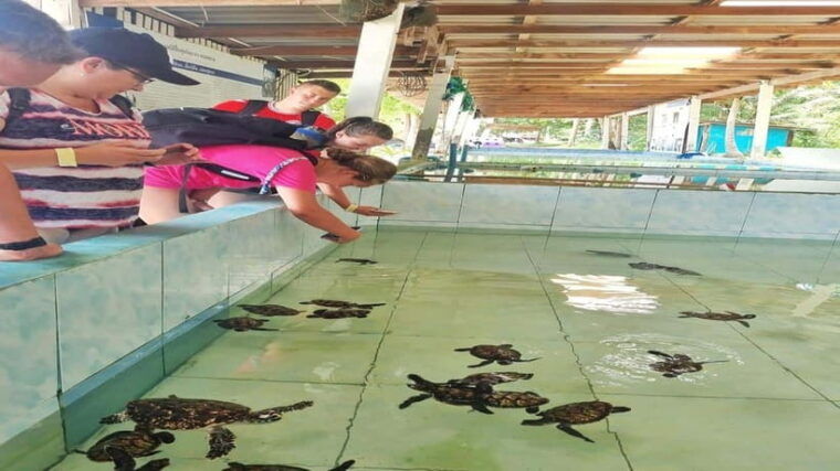 HUA HIN : Koh Talu Snorkeling With Lunch (Private 4 Pax Up) - Highlights