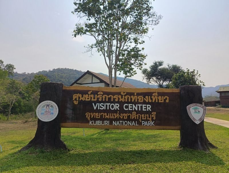 Hua Hin: Kui Buri Elephant Watching - A conservation visit, not an animal performance
