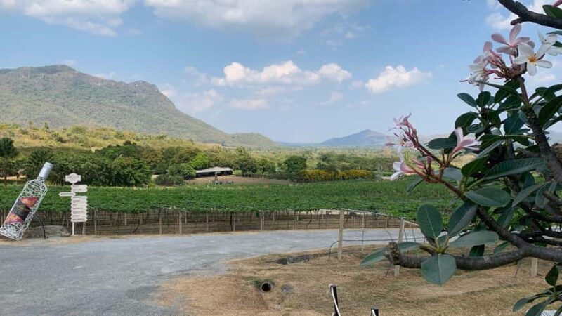 Hua Hin: Monsoon Valley Wine Tasting & Temple Tour - Who Will Love This Tour?