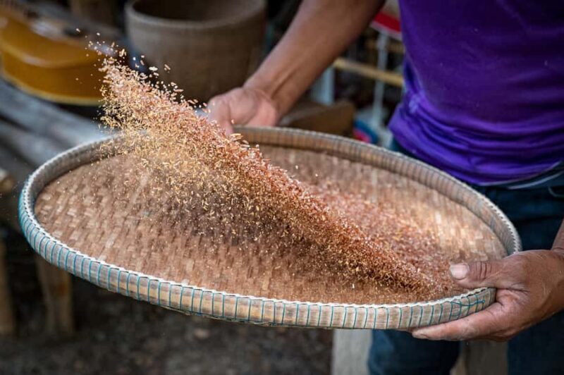 Hua Hin: Rice Farm Experience with Lunch in Phetchaburi - Who Will Love This Tour?
