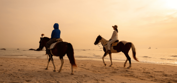 Hua Hin Tour With Private Charter From Bangkok or Hua Hin - Booking Process