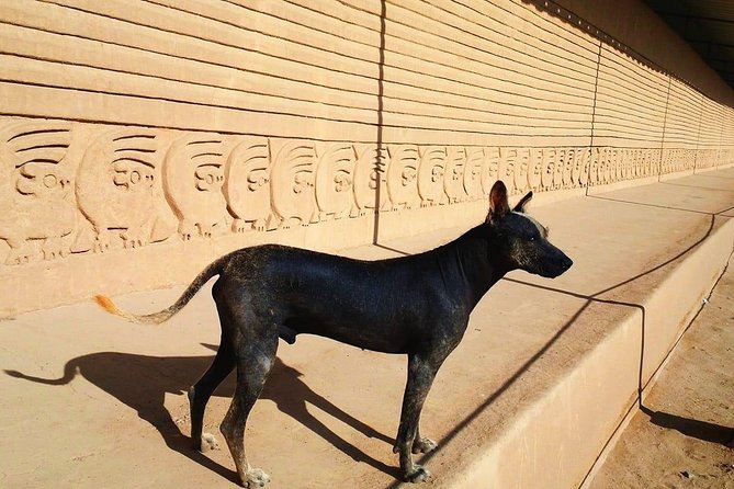 Huaca Del Sol and La Luna, Chan Chan, Huanchaco - Reviews and Recommendations for Trujillos Archaeological Sites