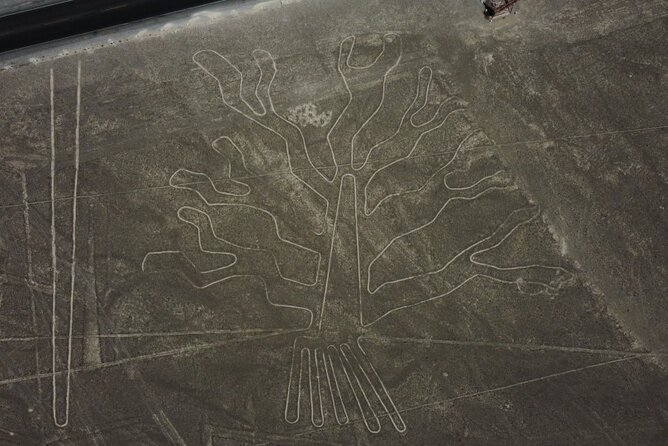 Huacachina Oasis and Nazca Lines Overflight 2D/1N - What To Expect