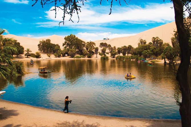 Huacachina Oasis, Buggy Tour & Ballesta Islands - Private - Tour Details
