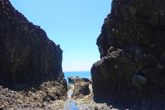 Hualien Small-Group Full-Day Taitung SUP Tour - Pricing and Terms