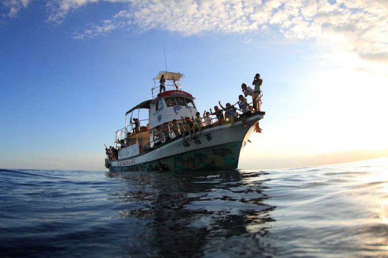 Hualien Whale Watching: Dolomann Ocean Whale Watching Guided Tour Experience - The search: dolphins are the more likely prize