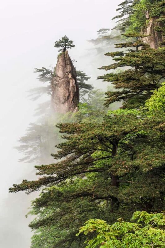 Huangshan Classic One-Day Tour (Summit Core Area) - Authentic Insights from Reviewers