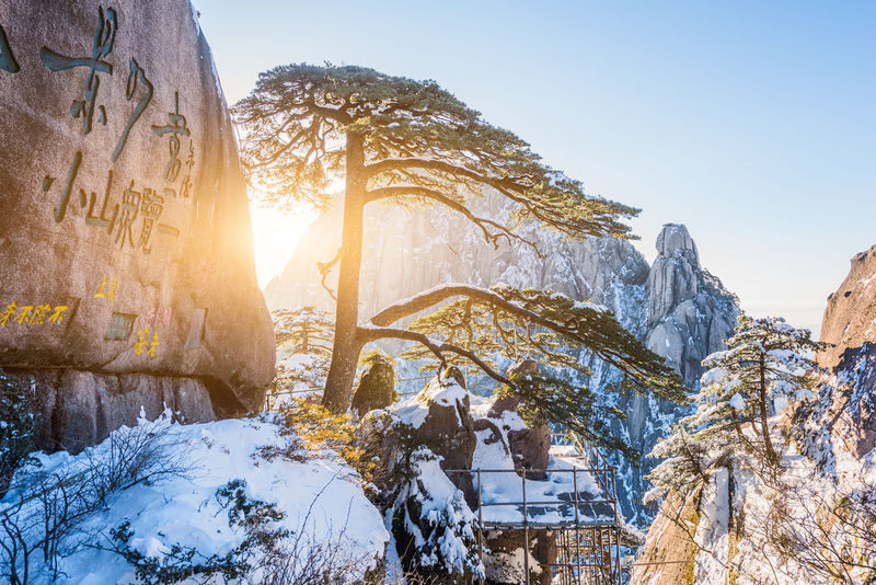 Huangshan Full-Day Hiking Tour - A full day in Huangshan, with the mountain as the main event