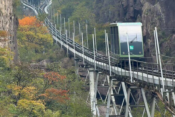 Huangshan or Hongcun and Xidi or Qiyun Mountain Day Tour - The Cost and What You Get