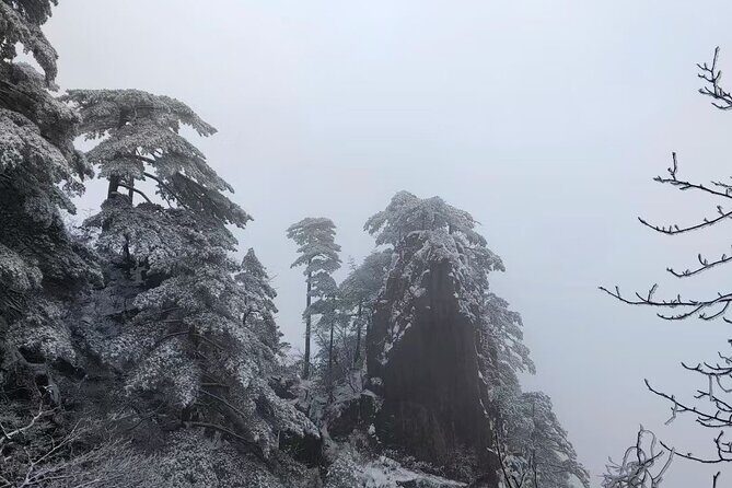 Huangshan or Hongcun and Xidi or Qiyun Mountain Day Tour - Authentic Experiences from Reviews