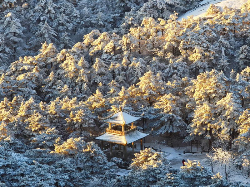 Huangshan Welcoming Pine One-Day Tour - Huangshan is a mountain day, not a casual stroll