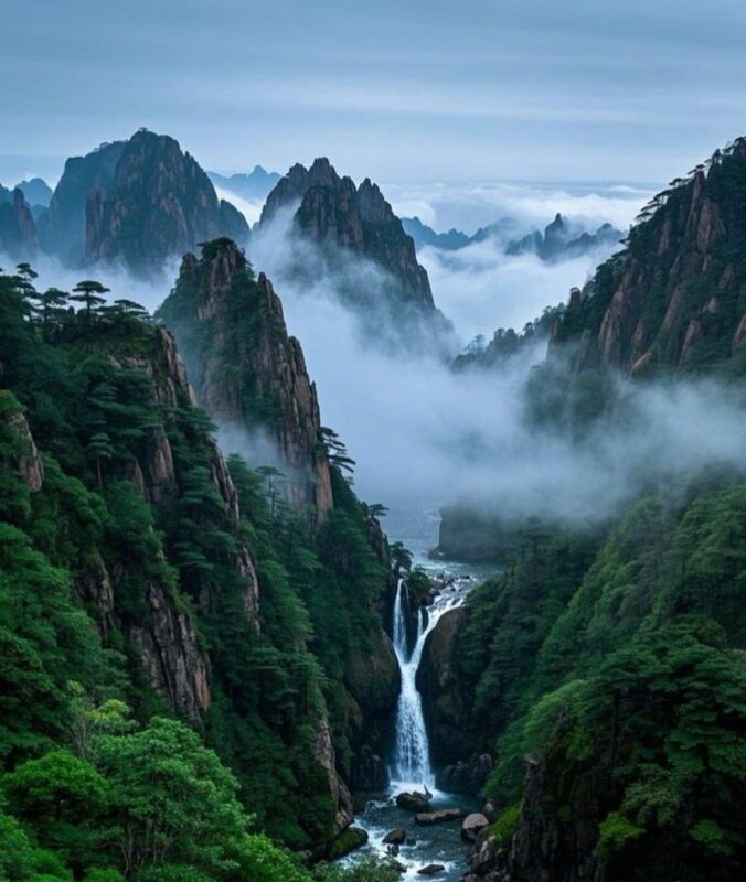 Huangshan Welcoming Pine One-Day Tour - Who should book this mountain outing?