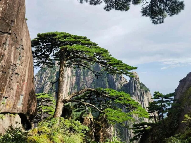 Huangshan: Yellow Mountains Private Guided Tour - Good To Know