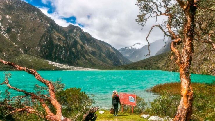 Huaraz: Llanganuco and Yungay Lagoon Entrance Included - Activity Details