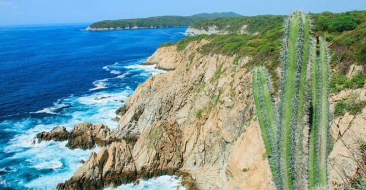 Huatulco: 5-Bay Exclusive Premium Panga Experience - Booking and Logistics Details