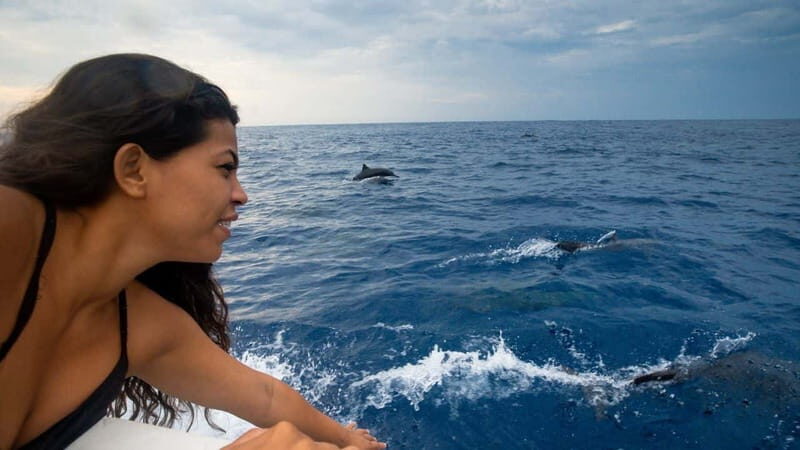 Huatulco: Awakening with Stars Dolphins Boat Cruise - Who Should Consider This Tour