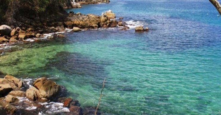 Huatulco: Bays of Huatulco Boat Tour - Experience Highlights