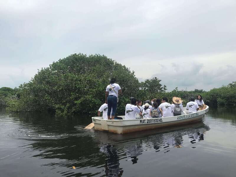 Huatulco: Ecotour with Crocodiles & migrating birds - Authentic Experiences from Real Travelers
