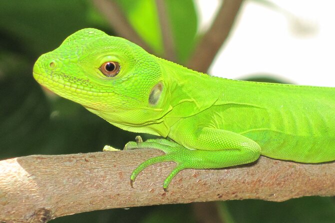 Huatulco: Enjoy Ventanilla, Mazunte and Puerto Angel - Puerto Angel: Discovering Hidden Gems