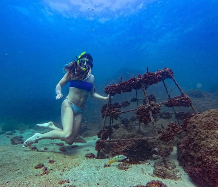 Huatulco: Hidden Beach & Snorkeling Adventure Tour - Who Should Consider This Tour?