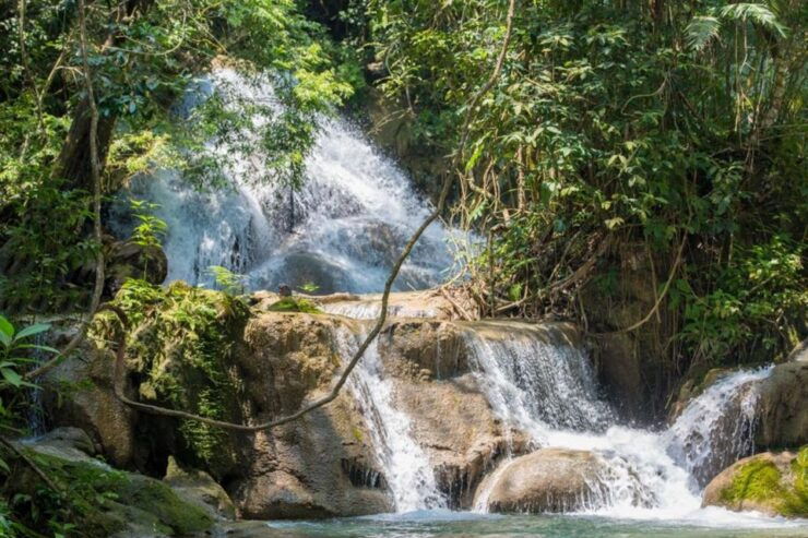 Huatulco: Llano Grande Waterfalls & Coffee Plantation Tour - Booking Details