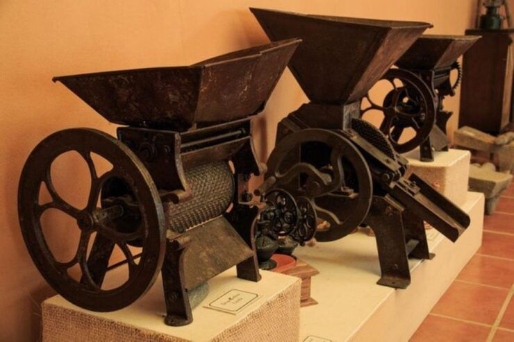 Huatulco: Local Coffee Tasting and Cultural Experience - Oaxacan History, Culture, and Gastronomy
