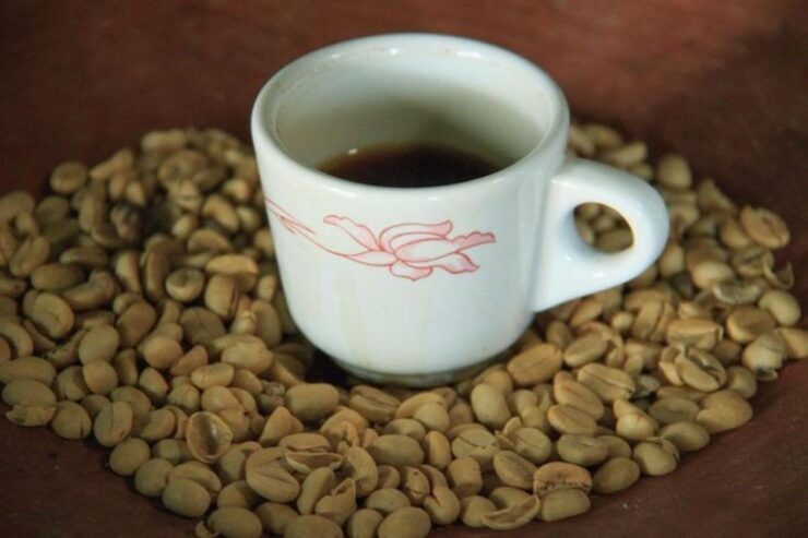 Huatulco: Local Coffee Tasting and Cultural Experience - Traditional Architecture of Pluma Hidalgo