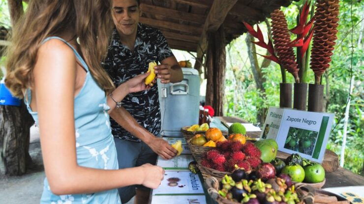 Huatulco: Nature Park With Fruit Tasting & Optional Zipline - Activity Details