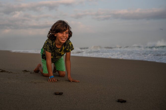Huatulco, Oaxaca: Baby Turtle Release - Overview of the Experience