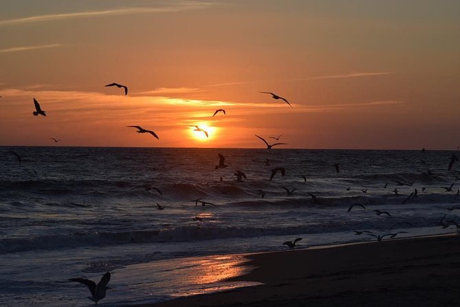 Huatulco, Oaxaca: Baby Turtle Release - Cancellation Policy and Weather Considerations
