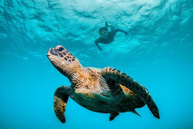 Huatulco Ocean, Bays & Coral Reef Snorkeling Adventures - Good To Know