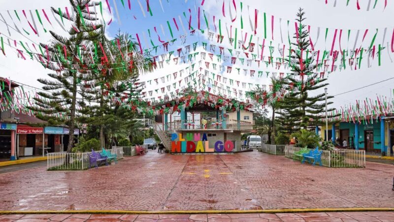 Huatulco: Pluma Hidalgo Coffee Origin and Essence. - Good To Know