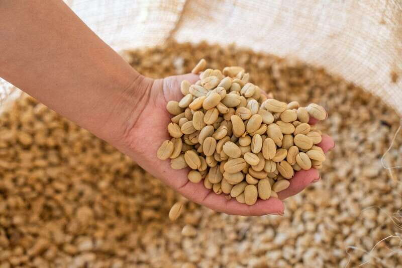 Huatulco: Pluma Hidalgo Coffee Origin and Essence. - Final Thoughts: Who Will Love This Tour?