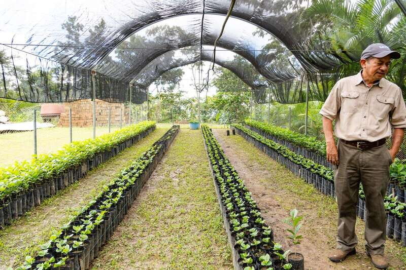 Huatulco: Pluma Hidalgo Coffee Origin and Essence. - FAQ