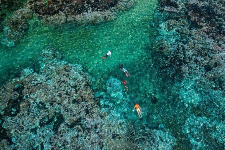 Huatulco: Premium Family Snorkeling Experience - Booking and Logistics