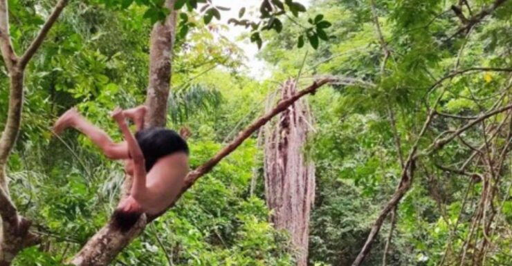 Huatulco: Private Tour of Magical Waterfalls of Copalitilla - Experience the Waterfalls