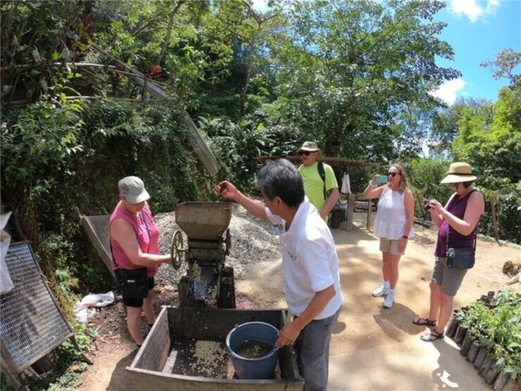 Huatulco: Santa Maria and Pluma Hidalgo Coffee Tour - Tour Highlights