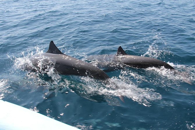 Huatulco Shore Excursion: Seven Bays Private Tour - Tour Overview