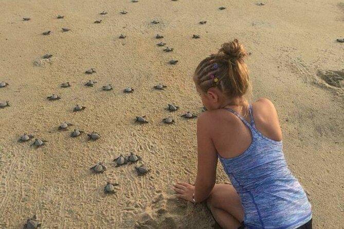 Huatulco Small-Group Nature Preservation Tour - Optional Chocolate-Making Experience
