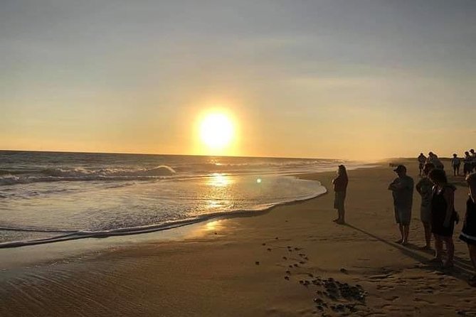 Huatulco Small-Group Nature Preservation Tour - Pricing and Booking Information