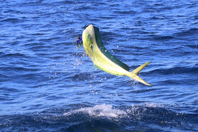 Huatulco Sport Fishing - Tips for a Successful Fishing Trip