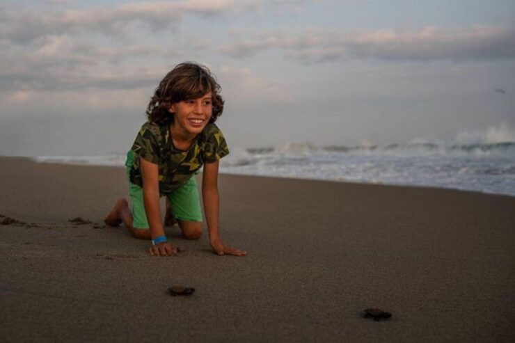 Huatulco: Unique Turtle Sanctuary & Sunset Experience - Experience Highlights