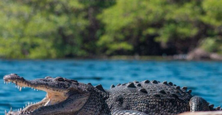 Huatulco:Ventanilla, Zipolite,Mazunte, and Puerto Angel Tour - Tour Highlights