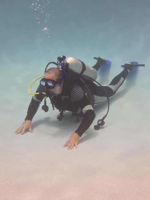 HUDSON, FL: PADI Discover Scuba Diving Experience - Good To Know